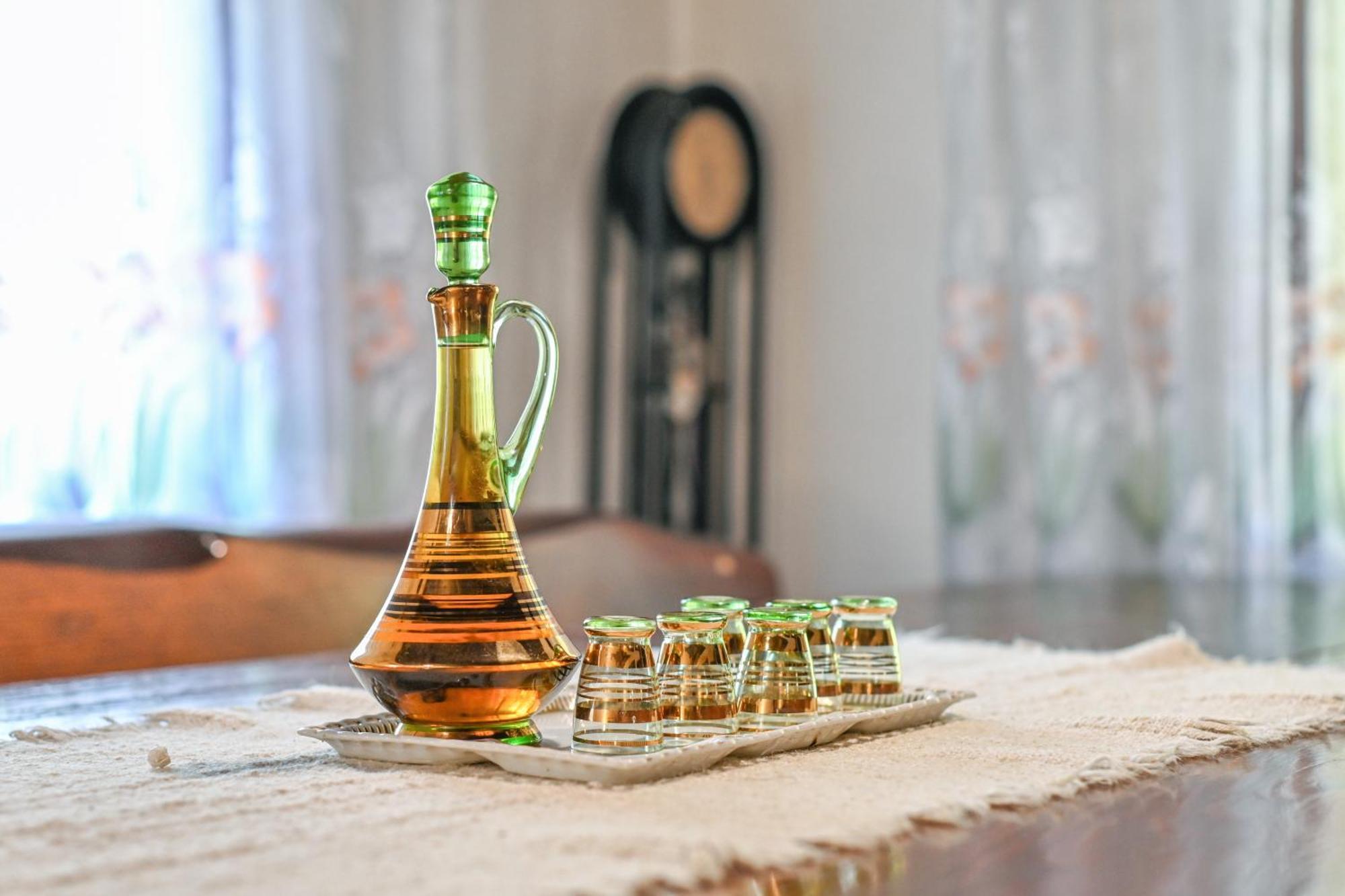Villa Pepeljuga Kuca Za Odmor Vizovlje Екстериор снимка